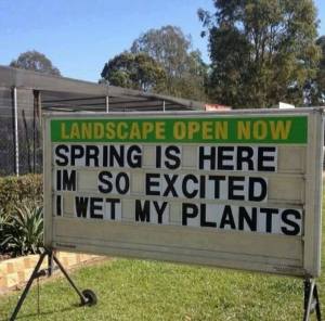 Sprint - wet my plants